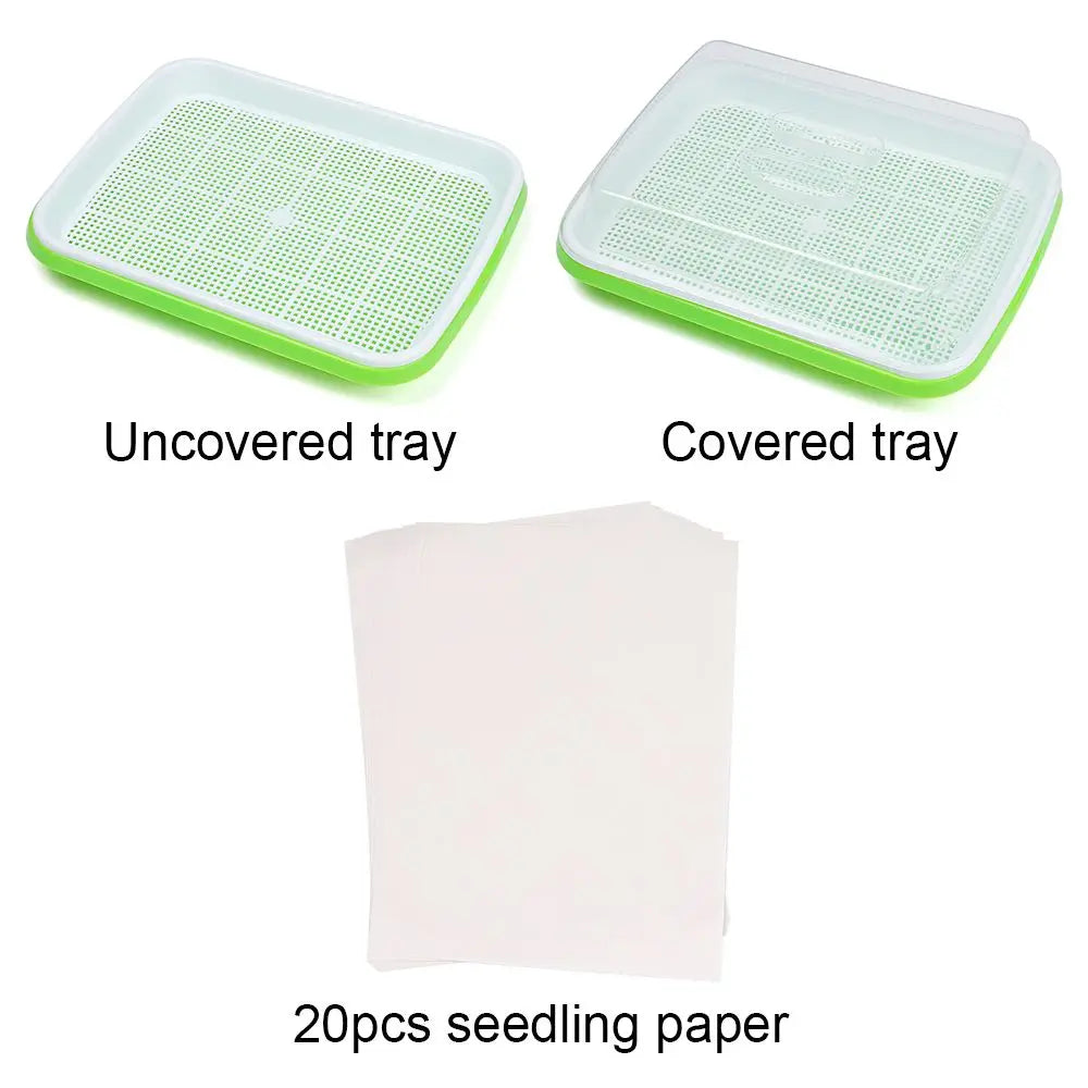 2-Layer Hydroponic Seed Sprouter Tray | Microgreens Grow Kit