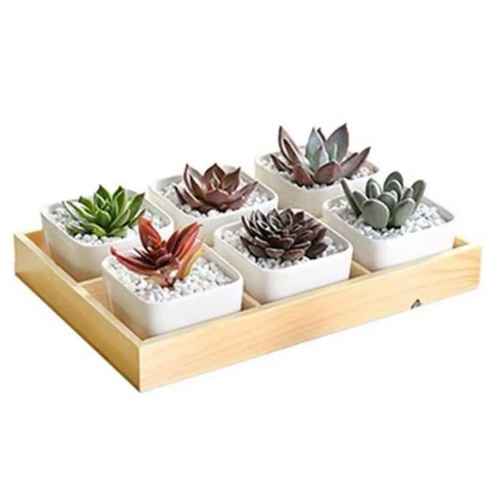 Multi-Grid Wood Succulent Tray & Desktop Organizer Holder Wood Planter Tray Nixie