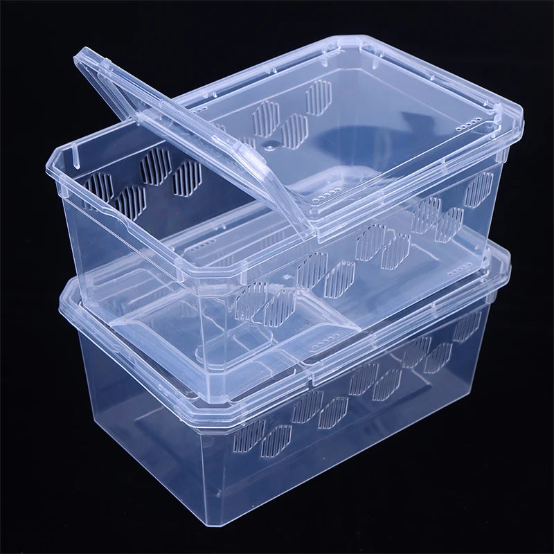 Reptile Breeding Box – Clear Vivarium Tank for Lizards & Spiders Reptile Breeding Box Nixie
