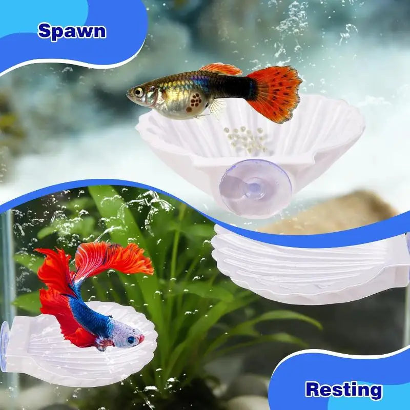 Betta Fish Shell Rest Platform with Suction Cup | 2 Sizes