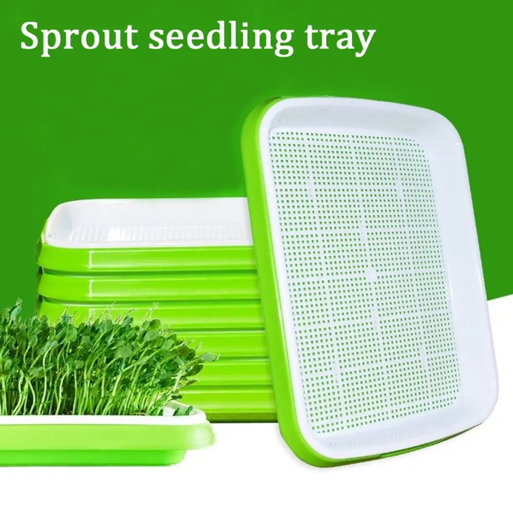 2-Layer Hydroponic Seed Sprouter Tray | Microgreens Grow Kit