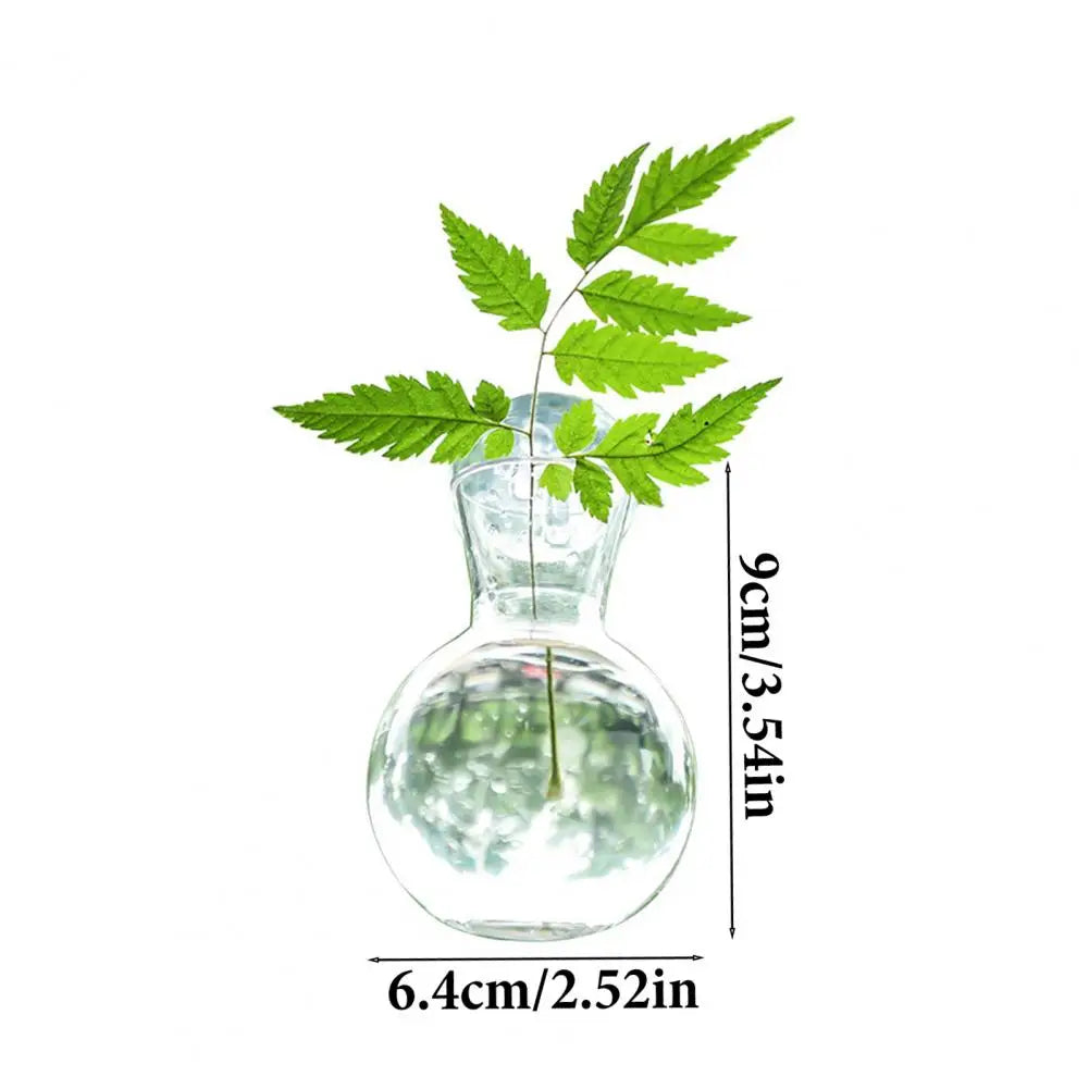 Window Propagation Station Plant Bulb Vase with Suction Cup Propagation Planter Nixie