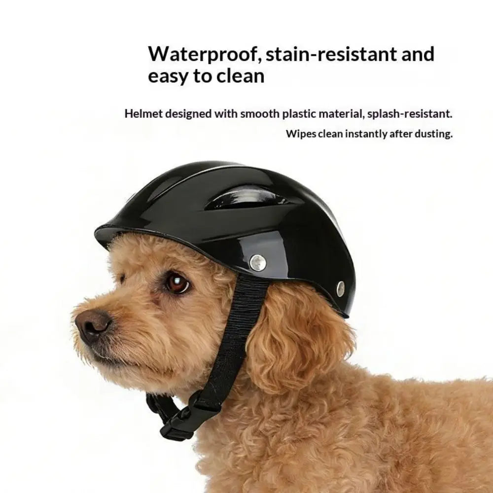 Breathable Pet Helmet for Dogs & Cats – Adjustable Nylon Strap Pet Helmet Nixie