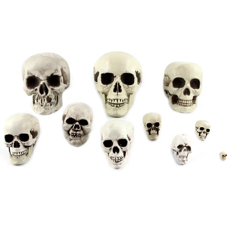 Plastic Skull Figurine Statue – Halloween Skeleton Decor