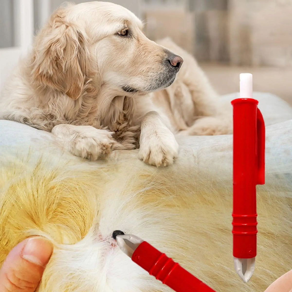 4-Piece Pet Tick & Flea Removal Tweezer Kit – Dogs & Cats Pet Tick Remover Kit Nixie