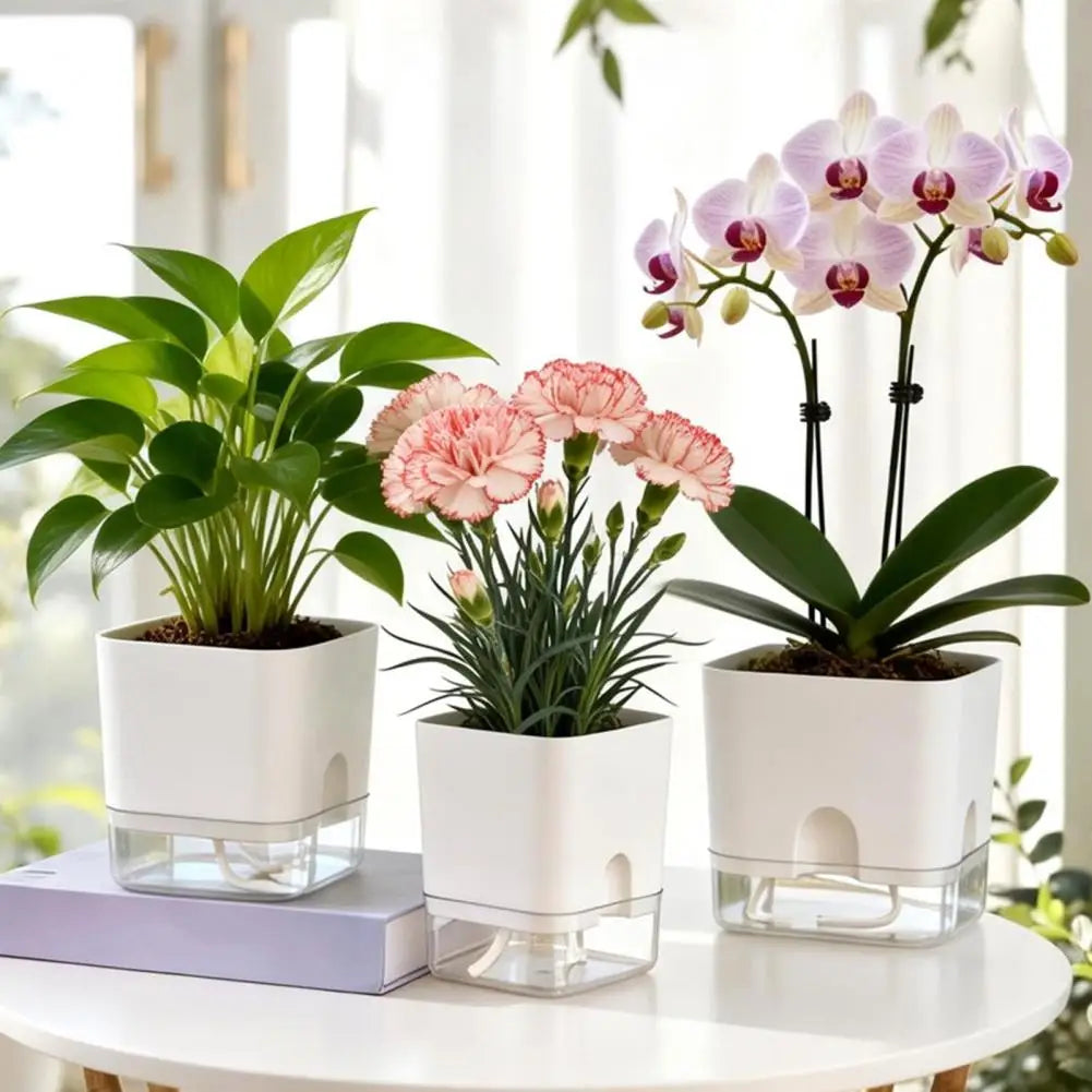 Self Watering Indoor Planter with Reservoir & Drainage Pot