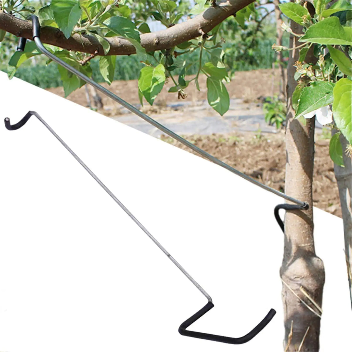 10Pcs Fruit Tree Branch Spreader & Limb Bending Tool Tree Branch Spreader Nixie