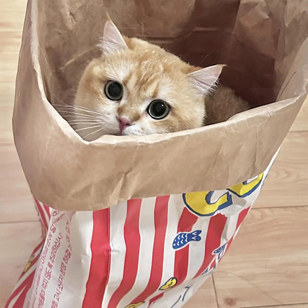 Crinkle Cat Paper Bag – Foldable Interactive Play & Hide Sack Cat Crinkle Toy Bag Nixie