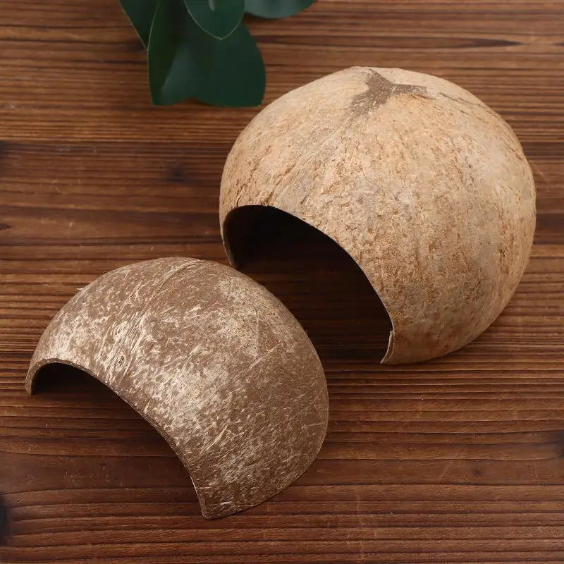 Coconut Shell Reptile Hideout Hut for Aquarium & Terrarium Reptile Hideout Nixie