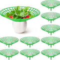 Strawberry Plant Supports 3-Leg Growing Racks – 5/10/20 Pcs Plant Support Stand Nixie green 5pcs