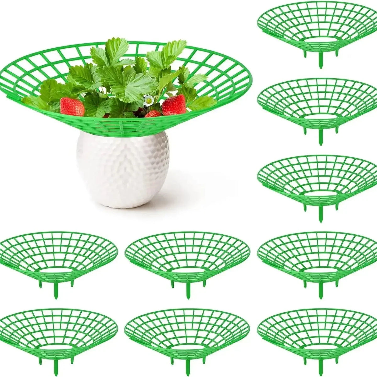 Strawberry Plant Supports 3-Leg Growing Racks – 5, 10 or 20 Pcs