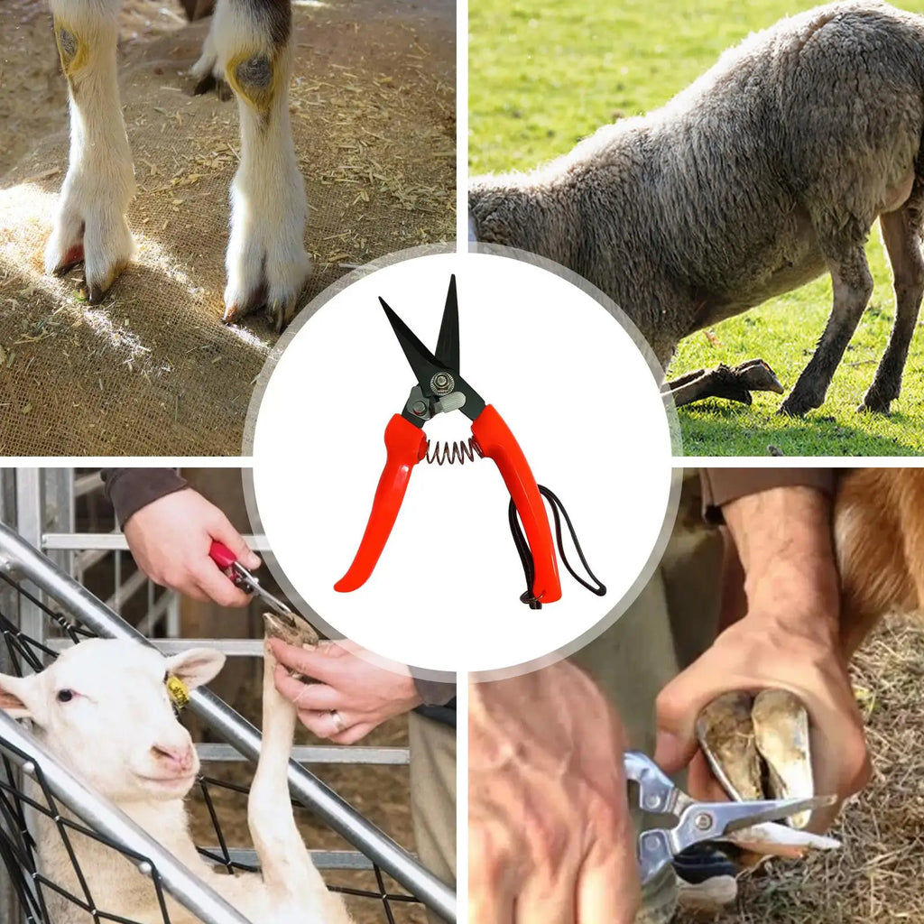 Sheep & Goat Hoof Trimmers – Stainless Steel Shears Hoof Trimming Shears Nixie