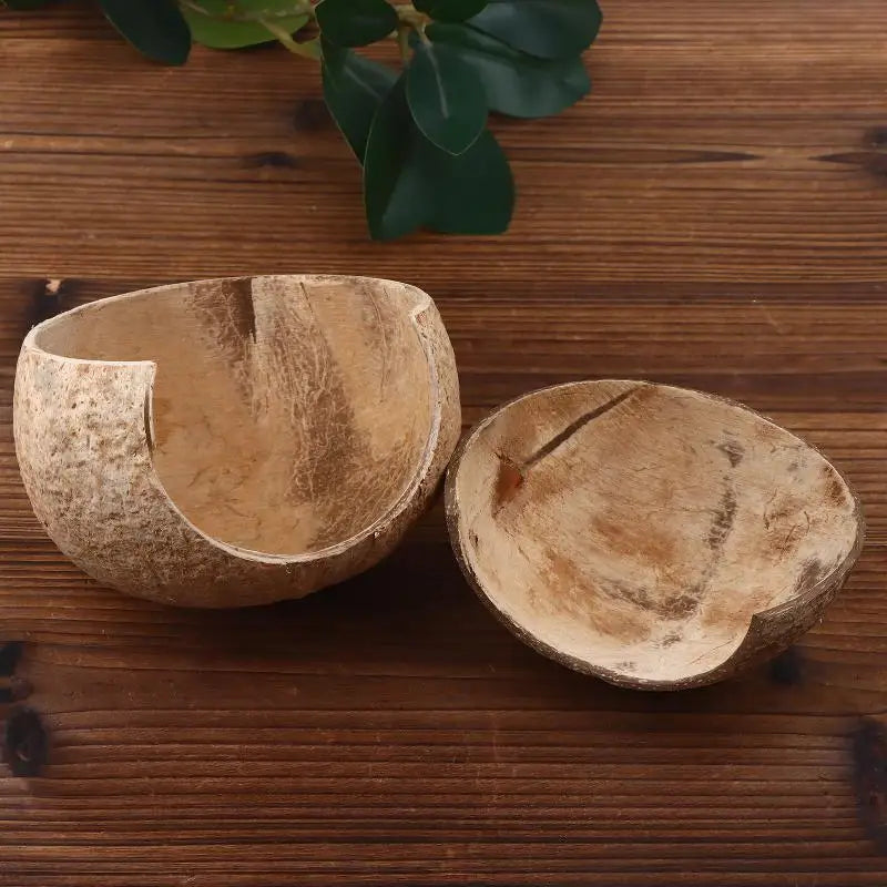 Coconut Shell Reptile Hideout Hut for Aquarium & Terrarium Reptile Hideout Nixie