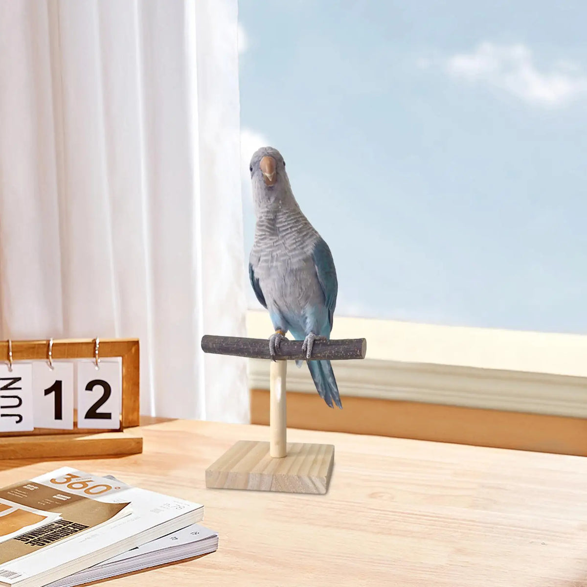 Natural Wood T-Shape Parrot Perch Stand | Desktop Bird Station Bird Perch Stand Nixie