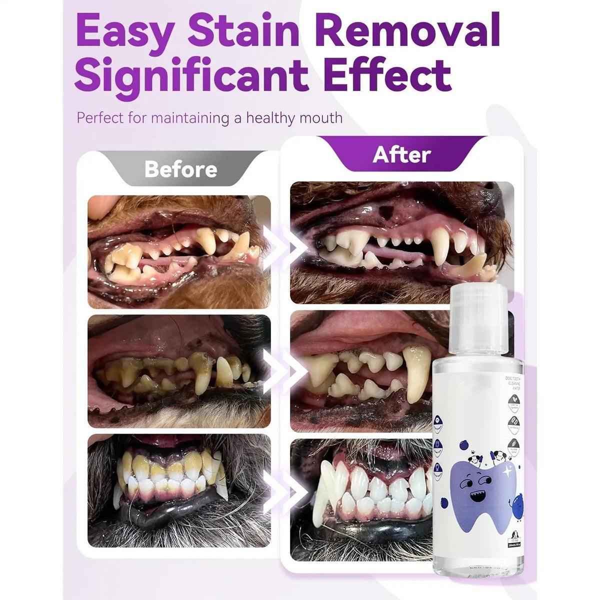 Dog & Cat Water Additive 200ml – Fresh Breath & Teeth Care Pet Dental Additive Nixie