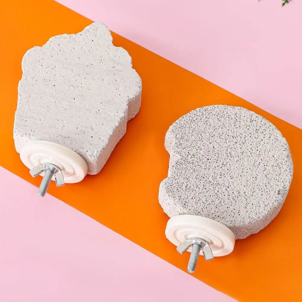 Pumice Parrot Stand Board – Claw & Beak Grinding Bird Perch Bird Perch Stand Nixie