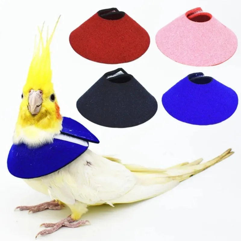 Adjustable Parrot Recovery Collar – Anti-Bite Bird Neck Sleeve Bird Recovery Collar Nixie