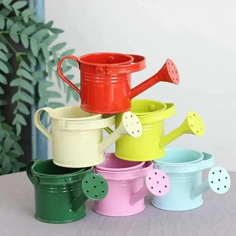 Metal Galvanized Watering Can for Garden – Anti-Rust Iron Pot Garden Watering Can Nixie
