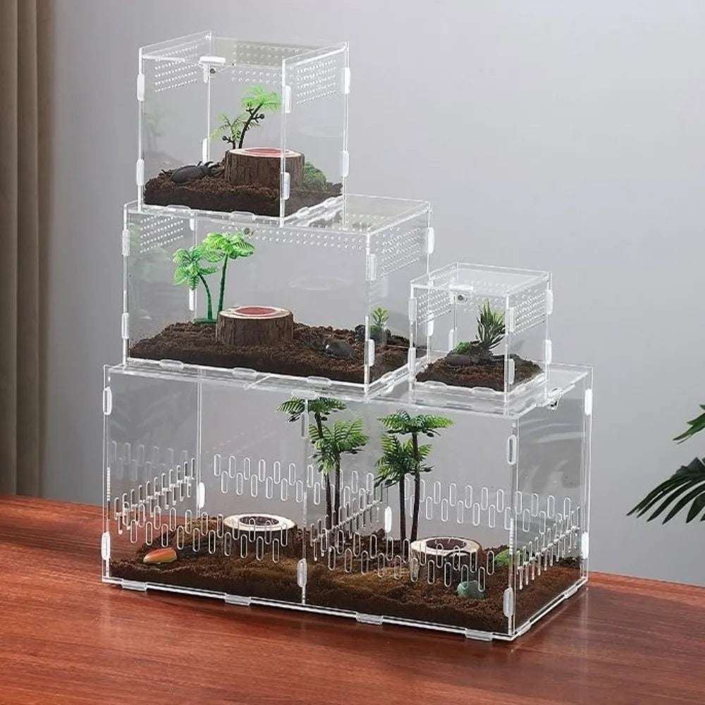 Acrylic Jumping Spider Enclosure – Ventilated Terrarium 3 Sizes Pet Terrarium Enclosure Nixie