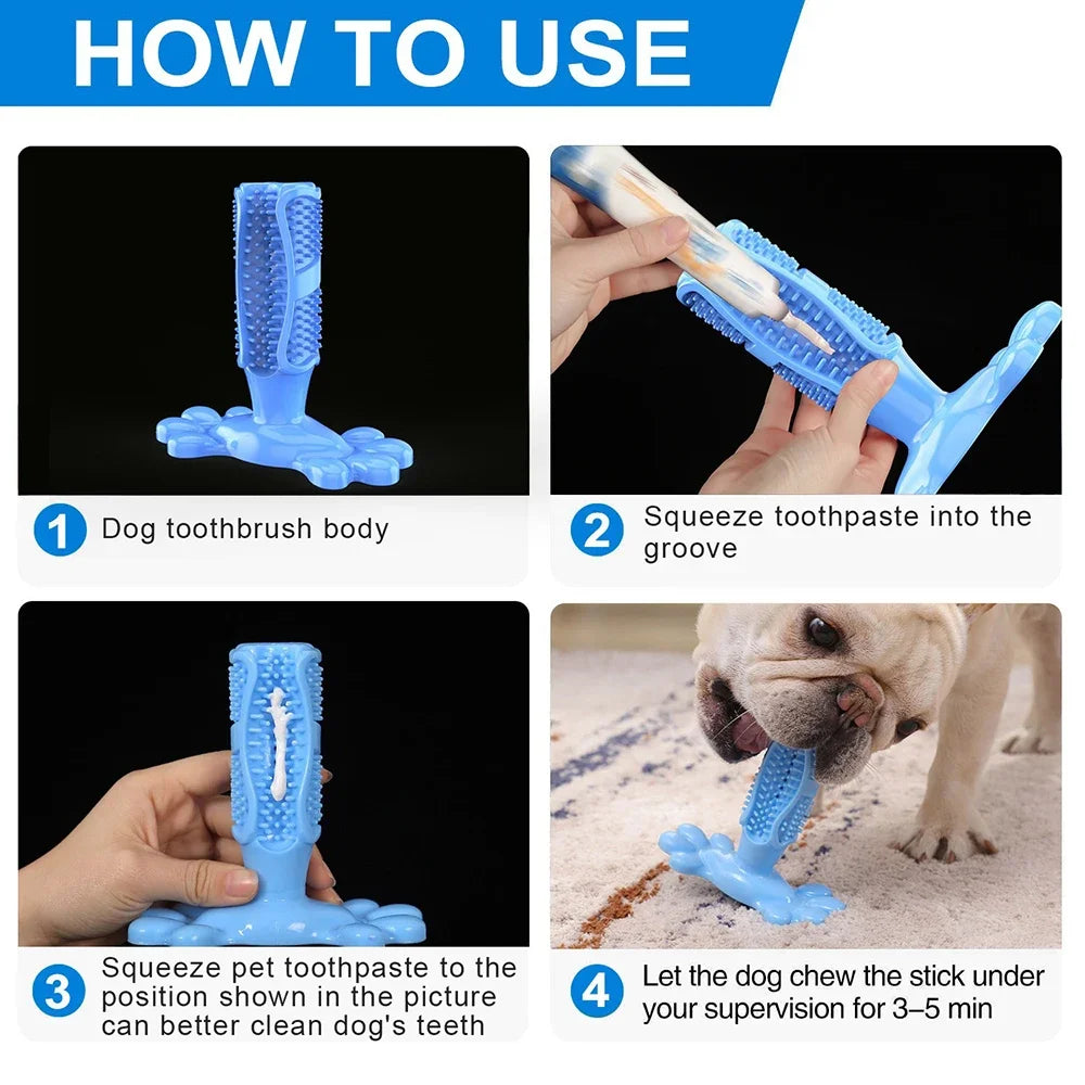 Dog Cactus Rubber Chew Toy – Treat Dispenser & Teeth Cleaner Dog Chew Toy Nixie