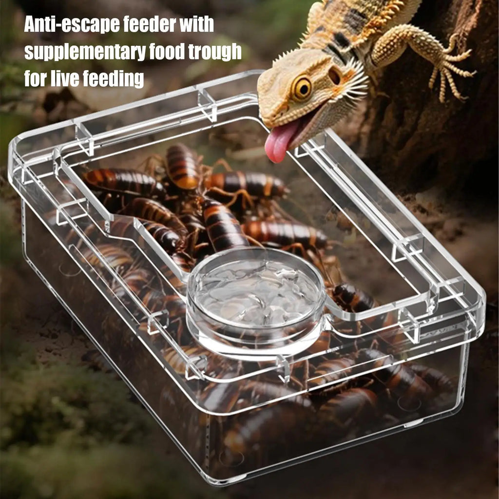 Reptile Escape-Proof Feeding Dish Bowl for Lizards & Iguanas Reptile Feeding Dish Nixie