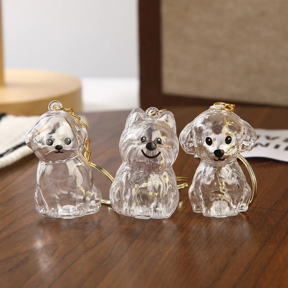Pet Fur Keepsake Capsule Keychain – Transparent Memorial Locket