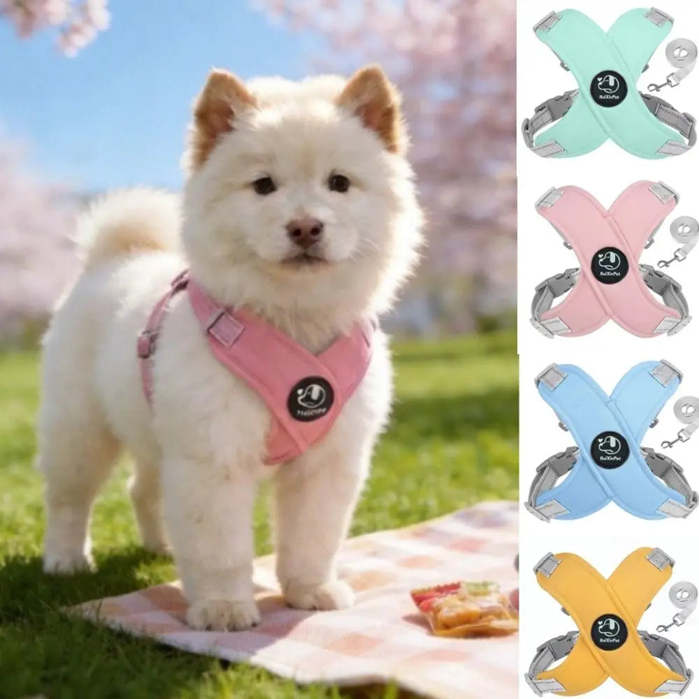 Reflective Dog Harness & Leash Set | Adjustable, Quick Release Dog Harness Set Nixie