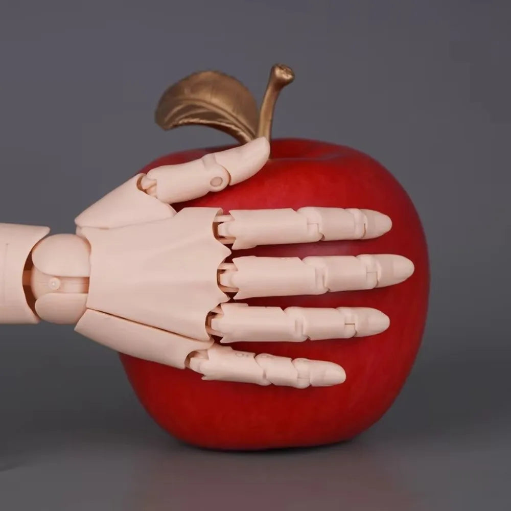 1:2 Scale Articulated Hand Model – Posable Art Reference Figure Articulated Hand Model Nixie