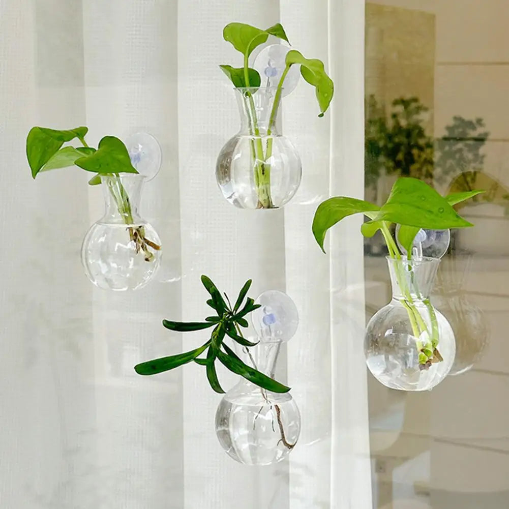 Window Propagation Station Plant Bulb Vase with Suction Cup Propagation Planter Nixie