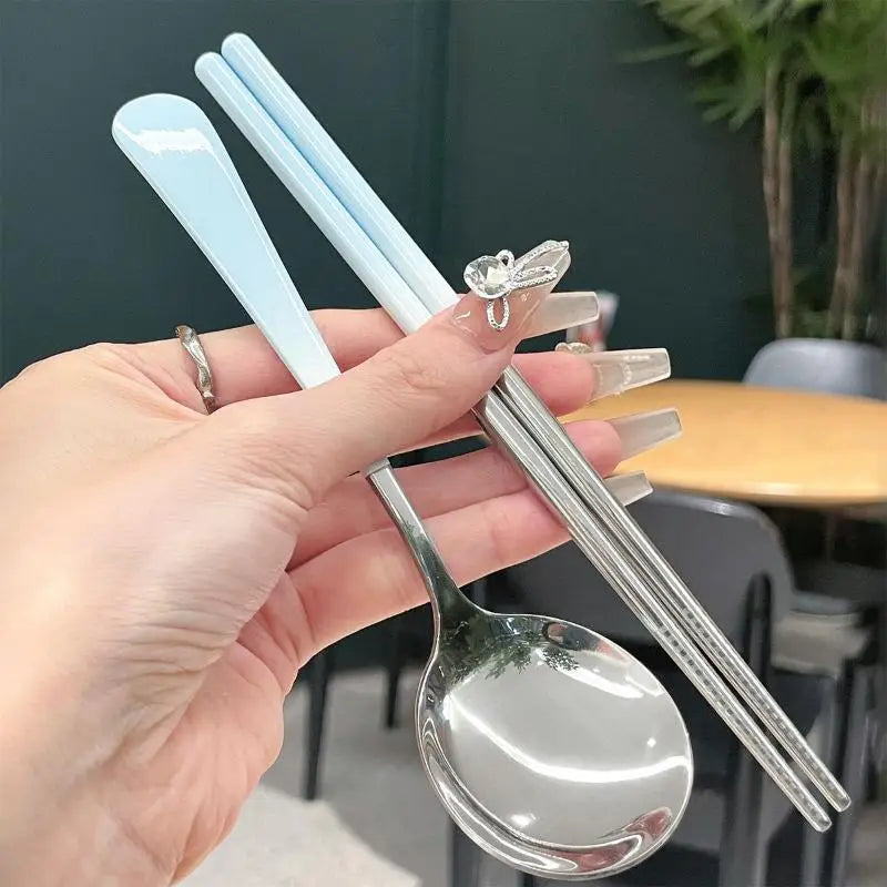 Portable Stainless Steel Cutlery Set – Spoon & Chopsticks with Case Portable Cutlery Set Nixie
