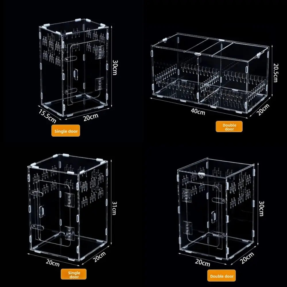 Acrylic Jumping Spider Enclosure – Ventilated Terrarium 3 Sizes Pet Terrarium Enclosure Nixie