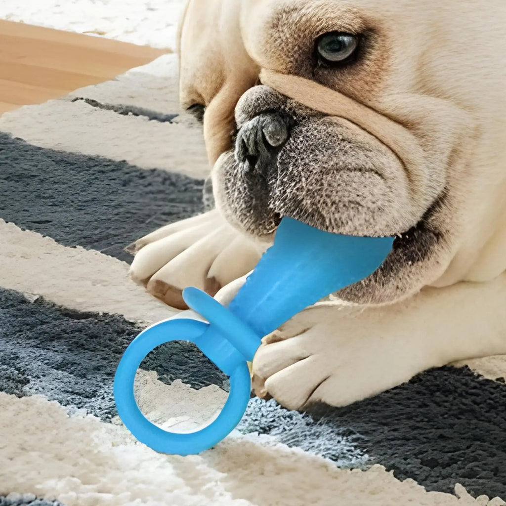 Dog Chew Toy Pacifier – Bite-Resistant Rubber Teething Toy Dog Chew Toy Nixie