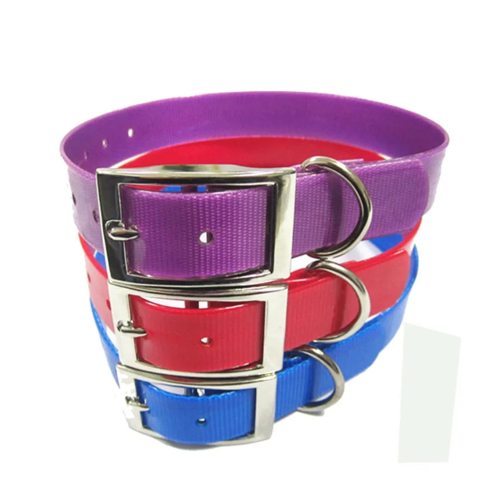 Waterproof PU Dog Collar – Odor & Dirt Resistant | Easy Clean Dog Collar Nixie