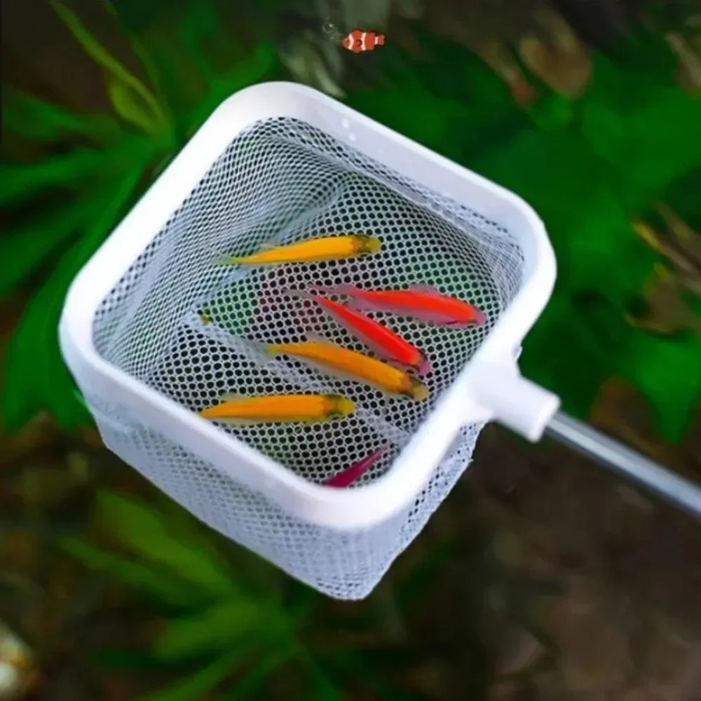Aquarium Square Fishing Net Extendable Handle | Fish & Shrimp Aquarium Fishing Net Nixie