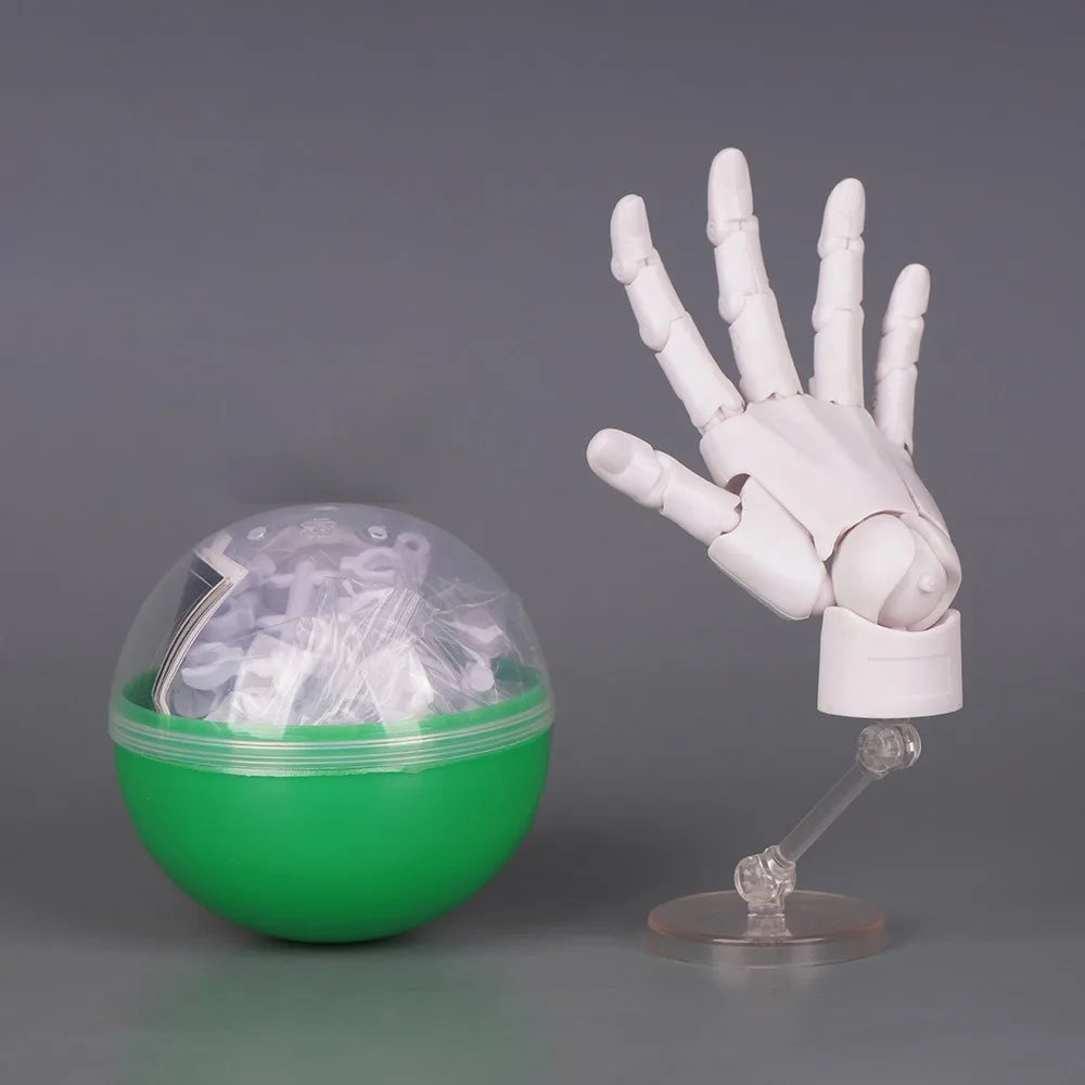 1:2 Scale Articulated Human Hand Model – Posable Fingers Articulated Hand Model Nixie Ivory White Right