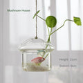 Hanging Glass Vase – Hydroponic Plant Pot, 12 Shapes Hanging Glass Vase Nixie 12