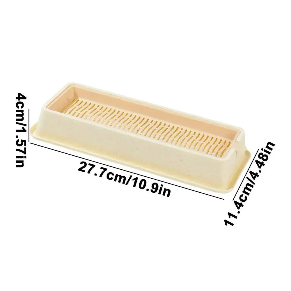 Cat Grass Growing Kit Hydroponic Tray – 4 Styles | Soilless