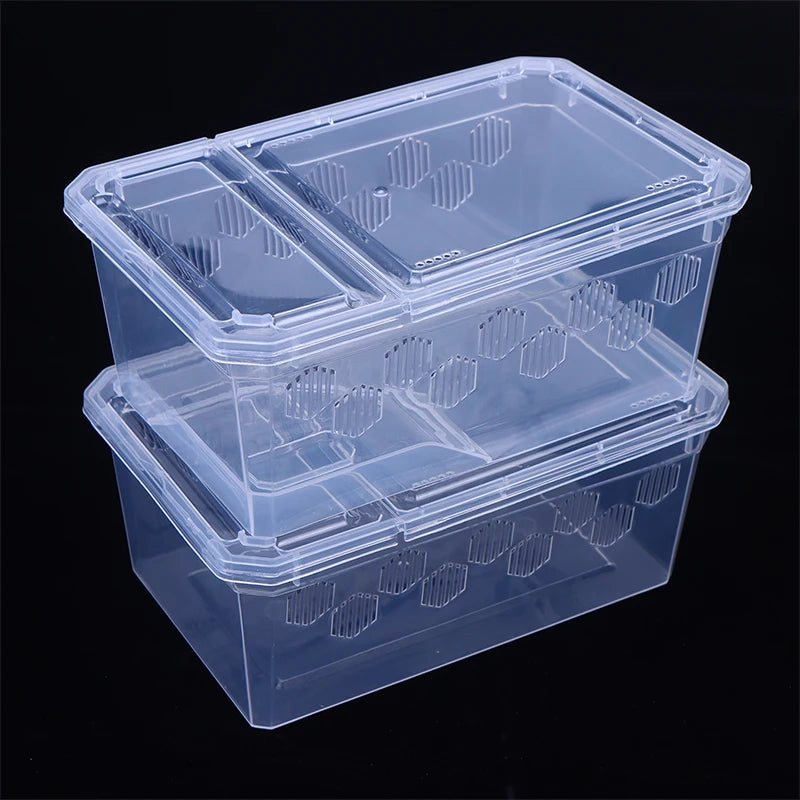 Reptile Breeding Box – Clear Vivarium Tank for Lizards & Spiders Reptile Breeding Box Nixie
