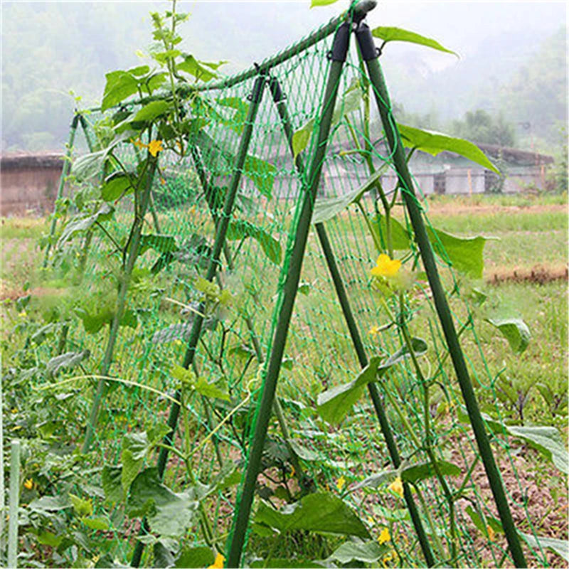 1.8x1.8m Nylon Lattice Climbing Plant Support Net – Garden Mesh Climbing Plant Net Nixie