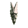 Magnetic Leaf Fridge Sticker – Simulated Plant Home Decor Decorative Fridge Magnet Nixie 10-2.9-8.4cm