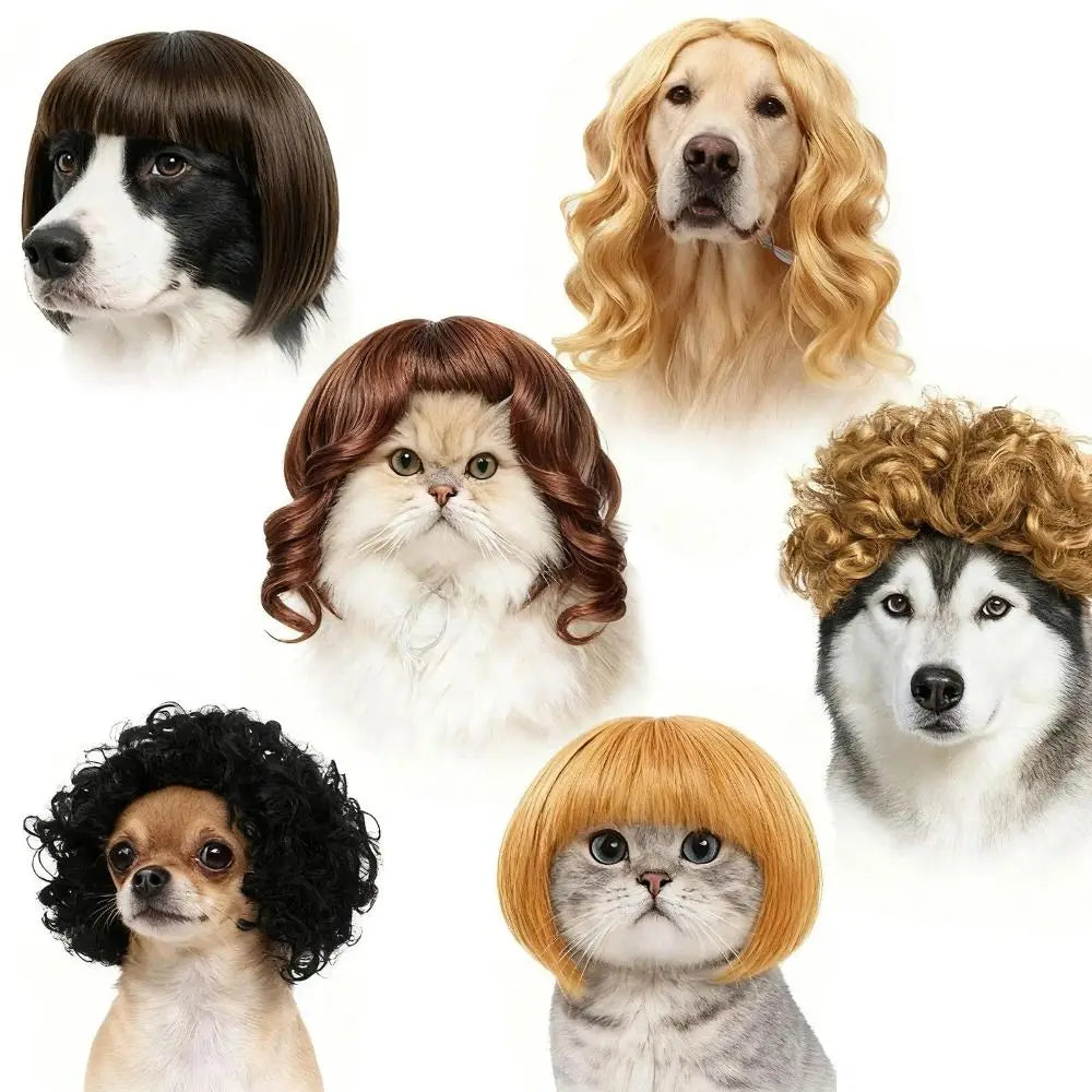 Funny Pet Wig for Dogs & Cats – Cosplay Dress Up Hairpiece