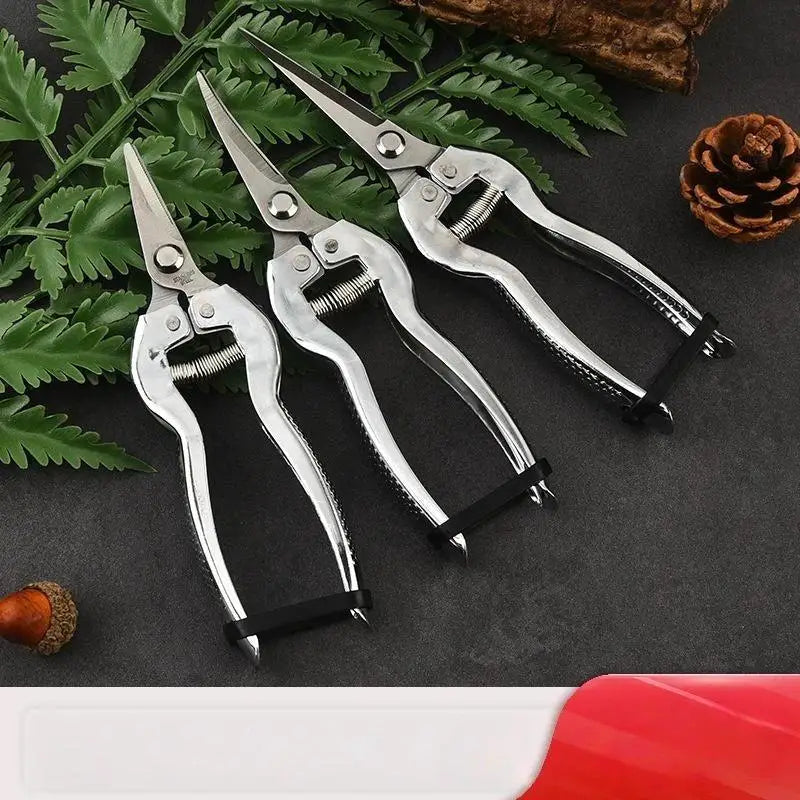Stainless Steel Pruning Shears – Sharp Precision Garden Tool