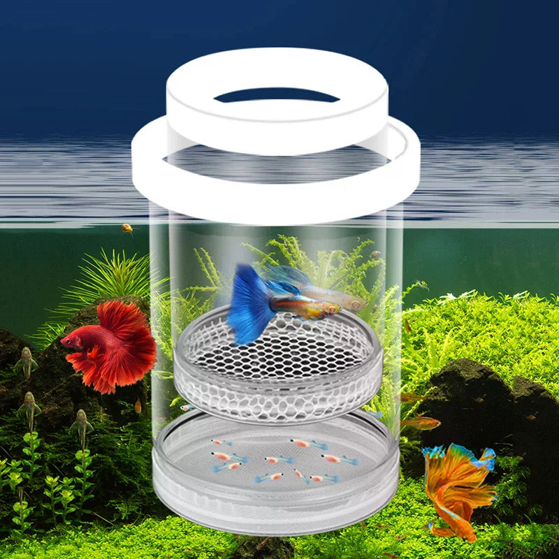 Floating Fish Breeding Isolation Box – Aquarium Hatchery