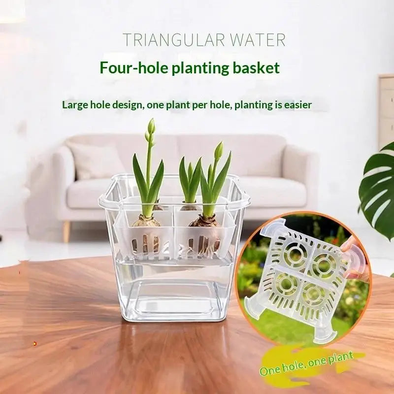 Hydroponic Tulip Flower Pot with 4-Hole Breathable Basket