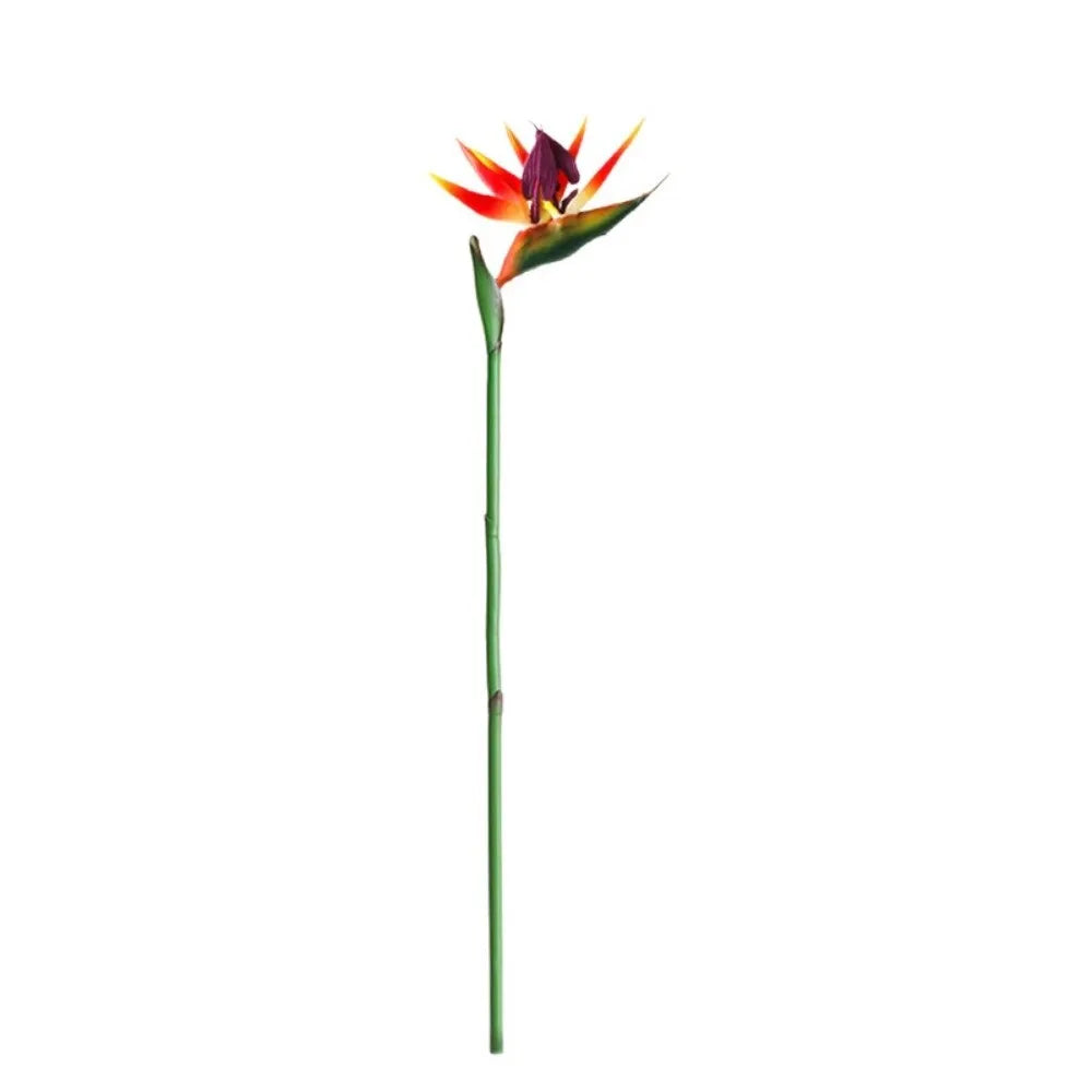 Long Stem Artificial Bird of Paradise Faux Strelitzia Flower Artificial Flower Stem Nixie