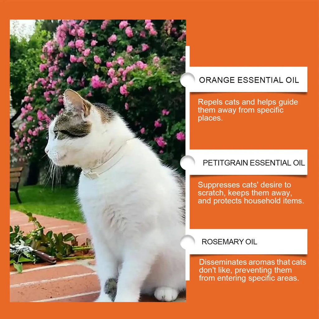 Cat Scratch Deterrent Spray – 100ml Furniture Protector