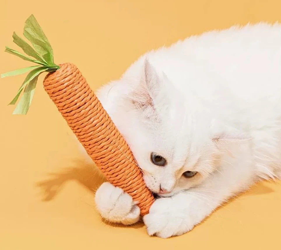 Carrot Cat Teaser Toy – Sisal Hemp Rope with Sound | Nixie Cat Teaser Toy Nixie