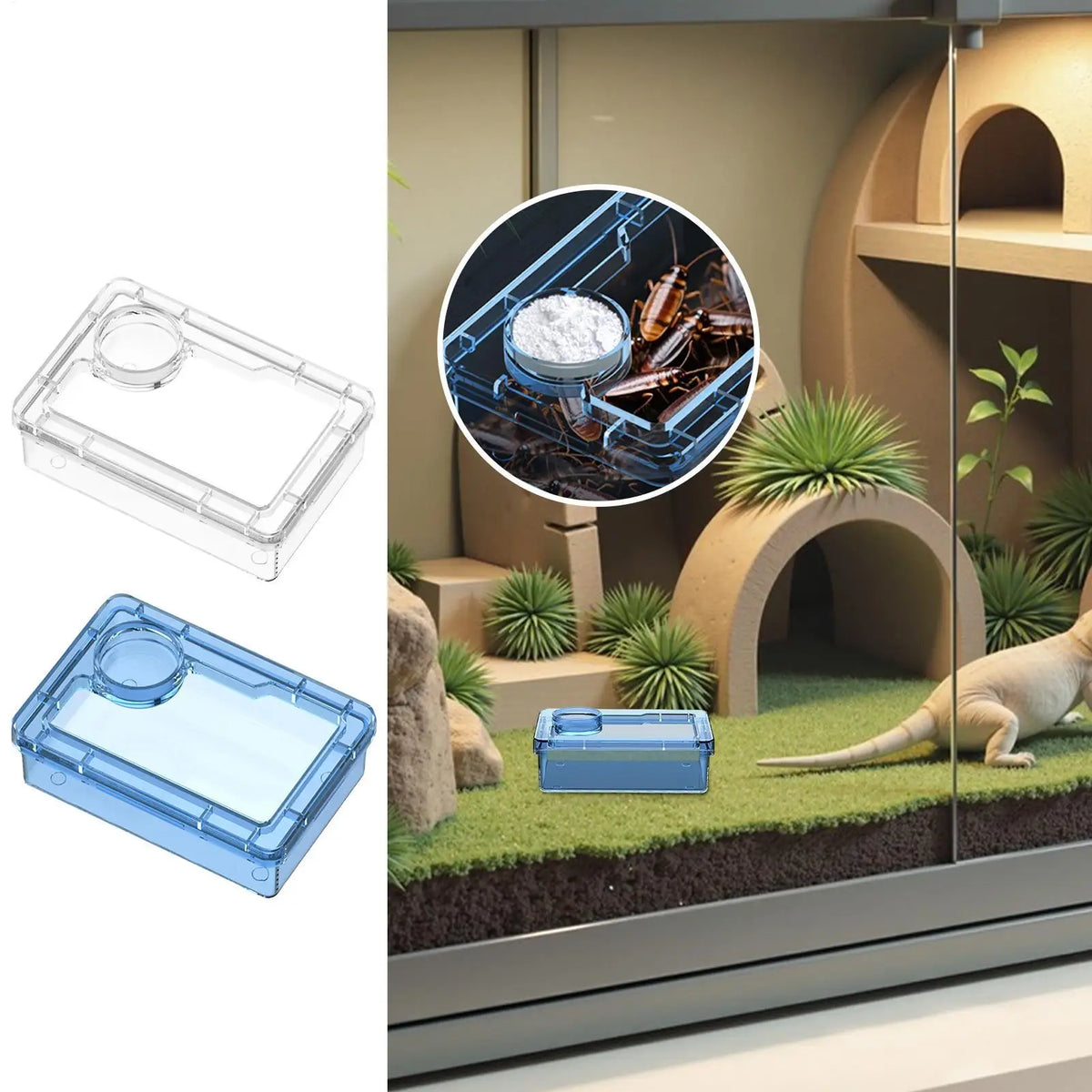 Reptile Escape-Proof Feeding Dish Bowl for Lizards & Iguanas