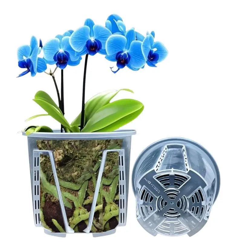 Clear Breathable Orchid Planter Pot with Drainage & Root Control Orchid Planter Pot Nixie