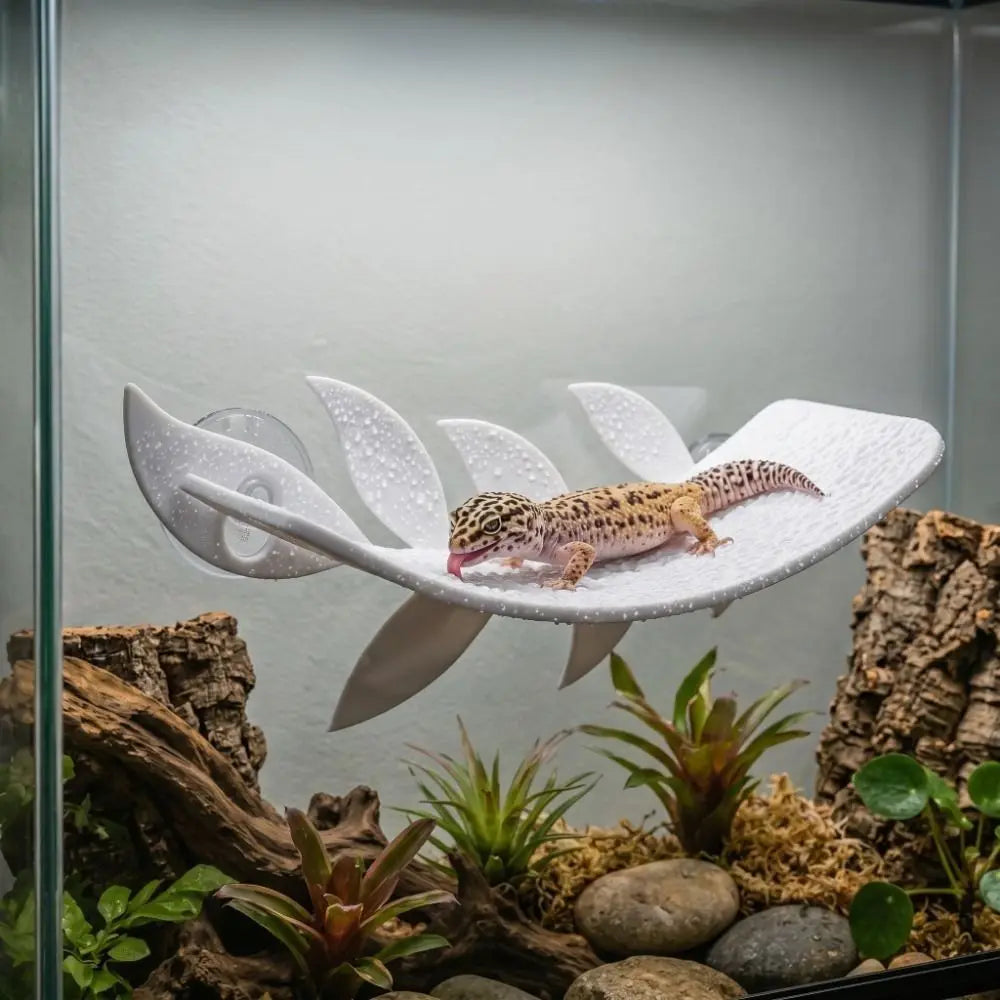 PLA Reptile Habitat Leaf with Suction Cups – Vivarium Decor Reptile Habitat Decor Nixie
